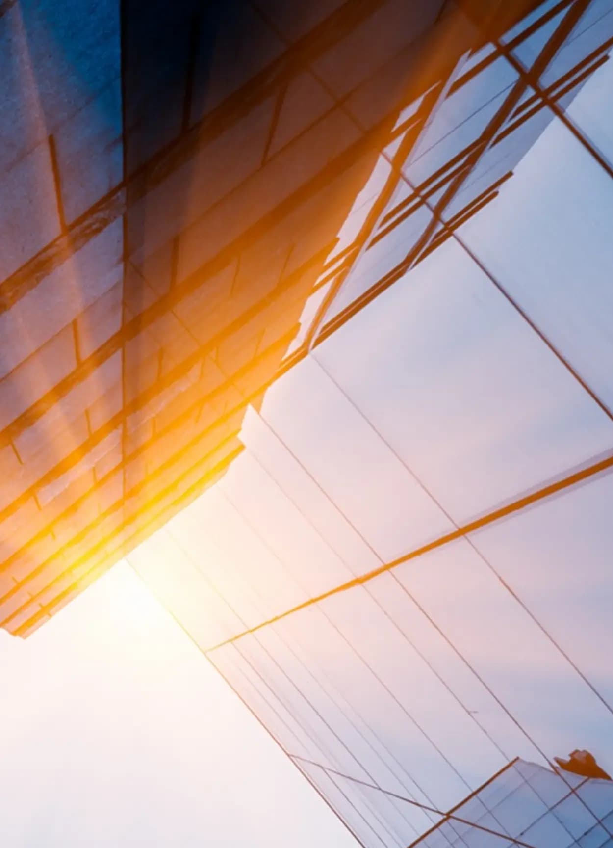 Consumer Technology Companies