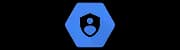 Cloud IAM Service