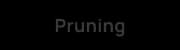 Pruning