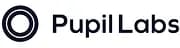 Pupil Labs