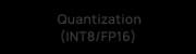 Quantization (INT8/FP16)